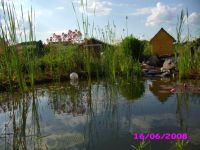 Teich_und_Bachllauf_16-06-08.jpg